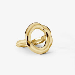 Anillo Circular Dorado